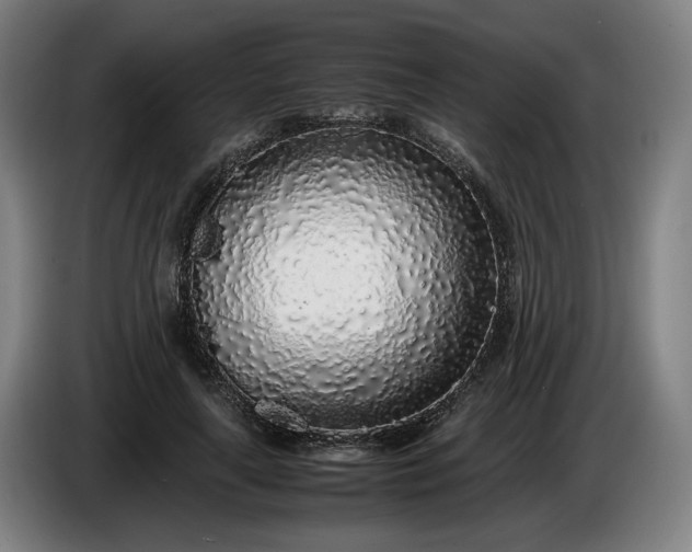 X0000085790643200703301452