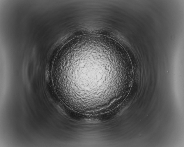 X0000085790644200703301452