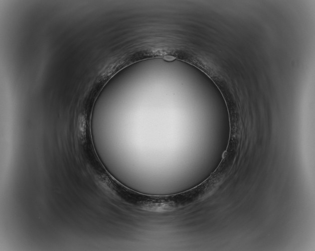 X0000085790646200703301452