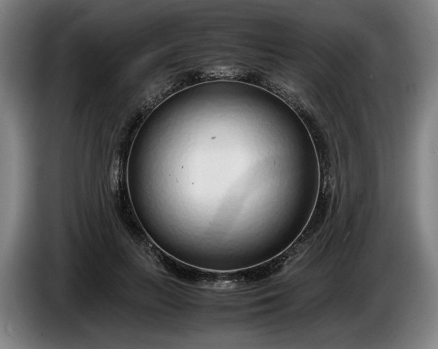 X0000085790647200703301452