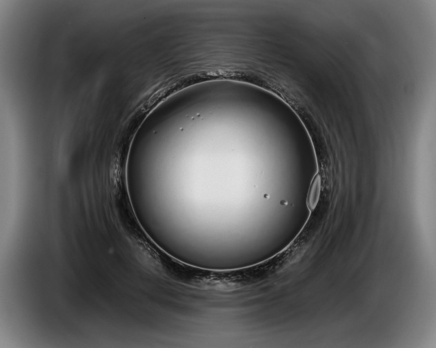 X0000085790648200703301452
