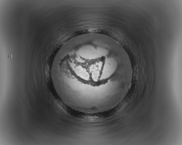 X0000085790650200703301452
