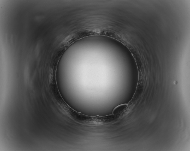 X0000085790656200703301452