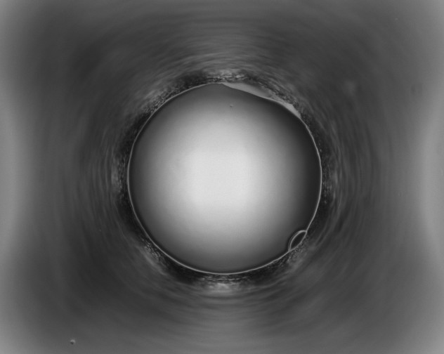 X0000085790658200703301452