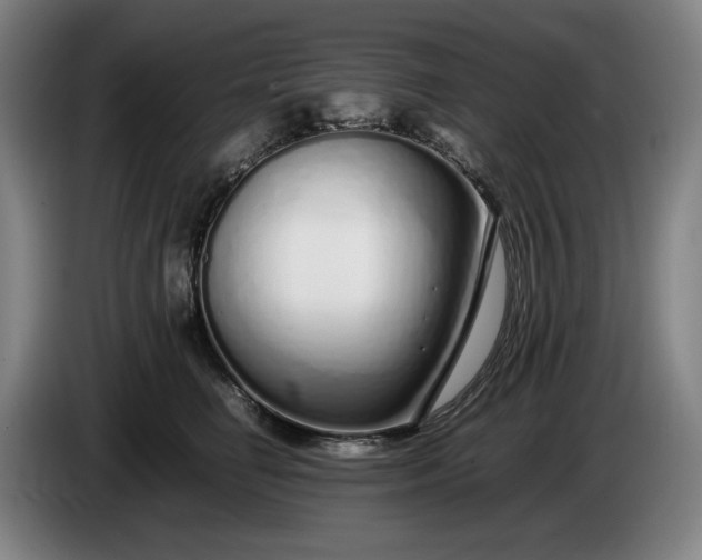 X0000085790662200703301452