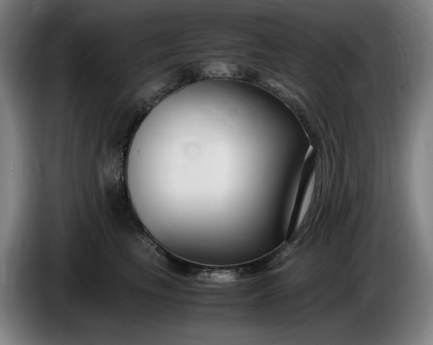 X0000085790665200703301452