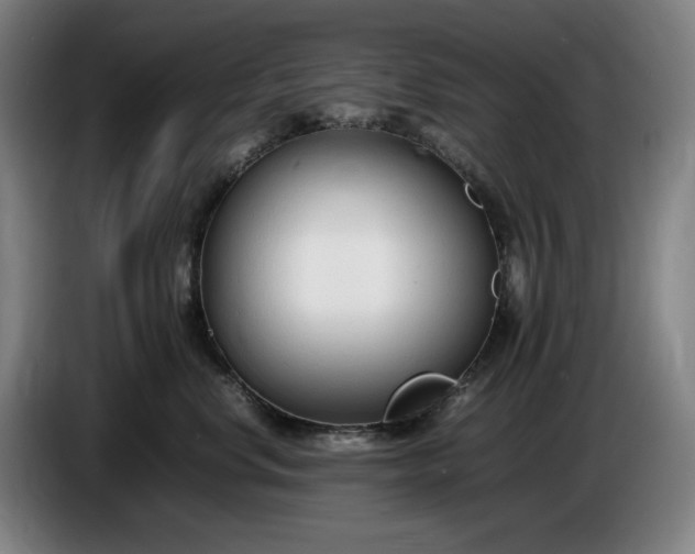 X0000085790668200703301453