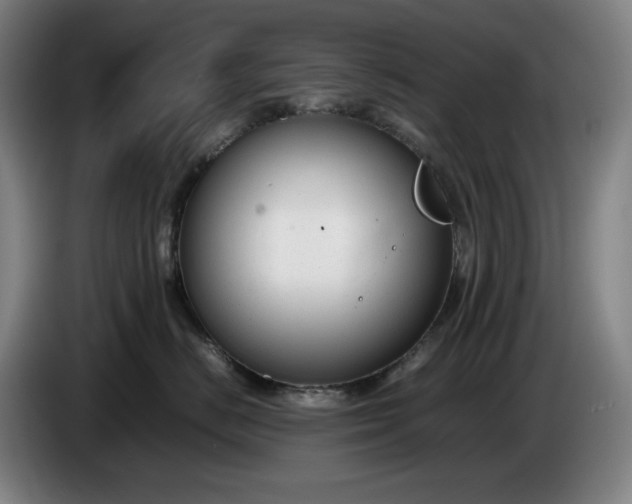 X0000085790670200703301453