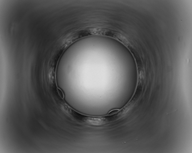 X0000085790671200703301453