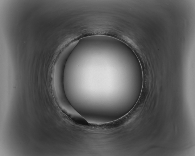 X0000085790673200703301452
