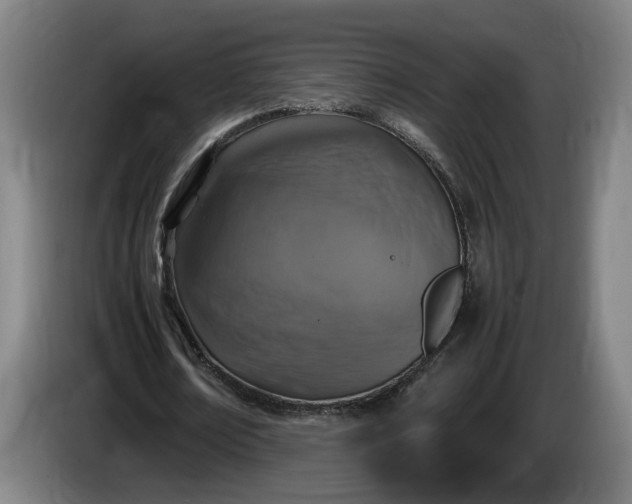 X0000085790674200703301452