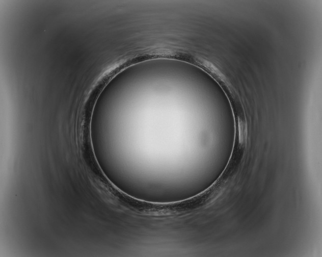 X0000085790675200703301452