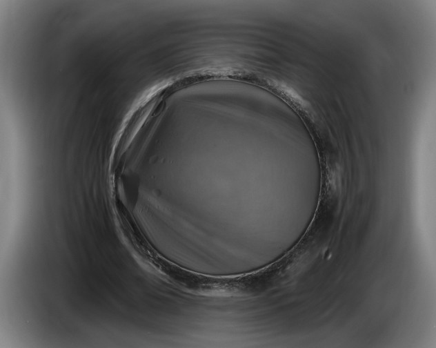 X0000085790678200703301452