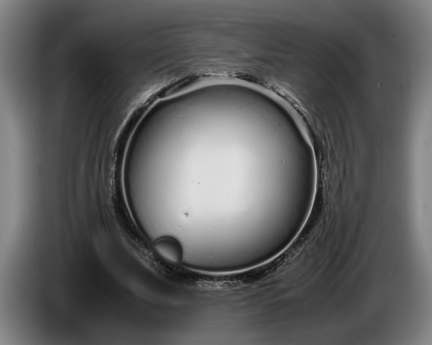 X0000085790679200703301452