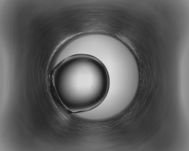 X0000085790680200703301452