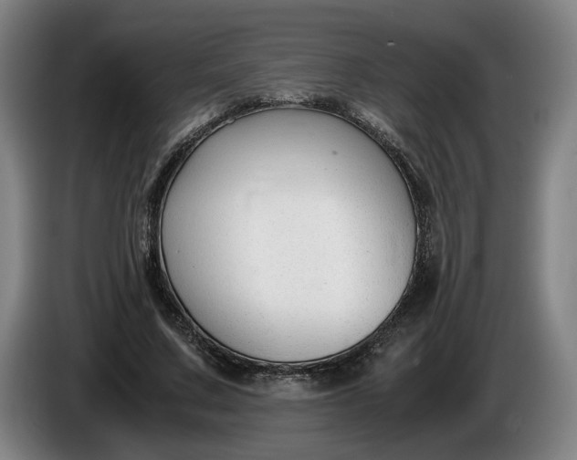 X0000085790683200703301452