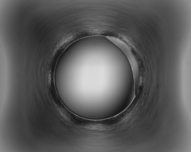X0000085790685200703301452