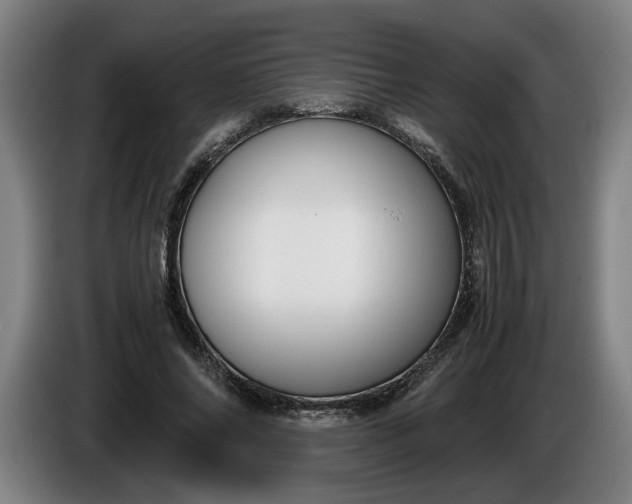 X0000085790686200703301452