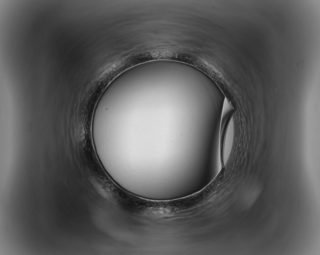 X0000085790687200703301452