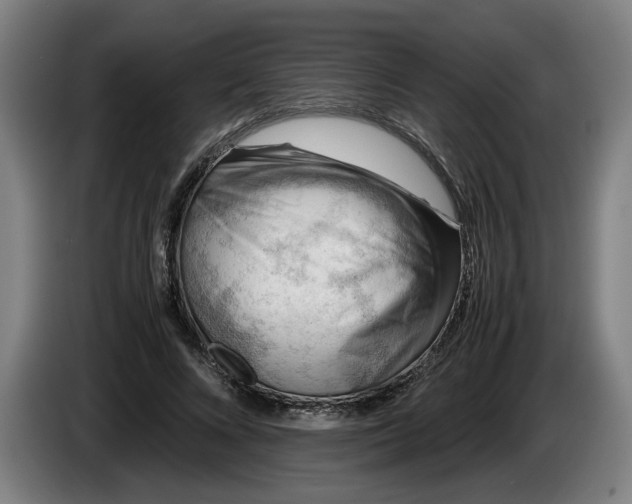 X0000085790688200703301452