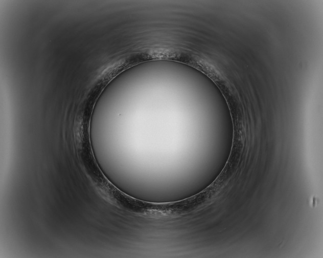 X0000085790690200703301452