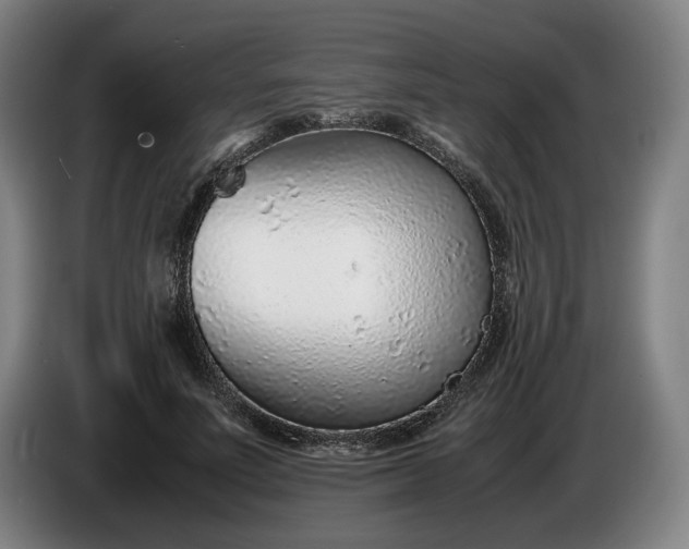 X0000085790691200703301452