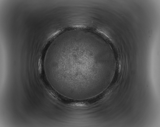 X0000085790692200703301452