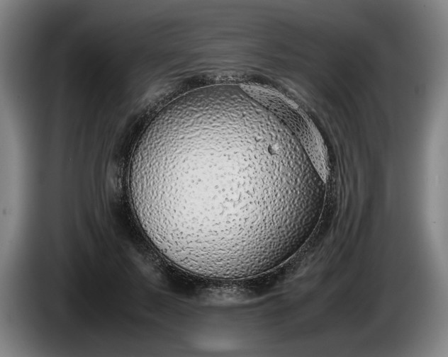 X0000085790695200703301452