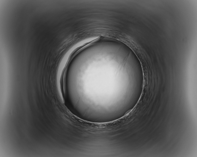 X0000085790696200703301452