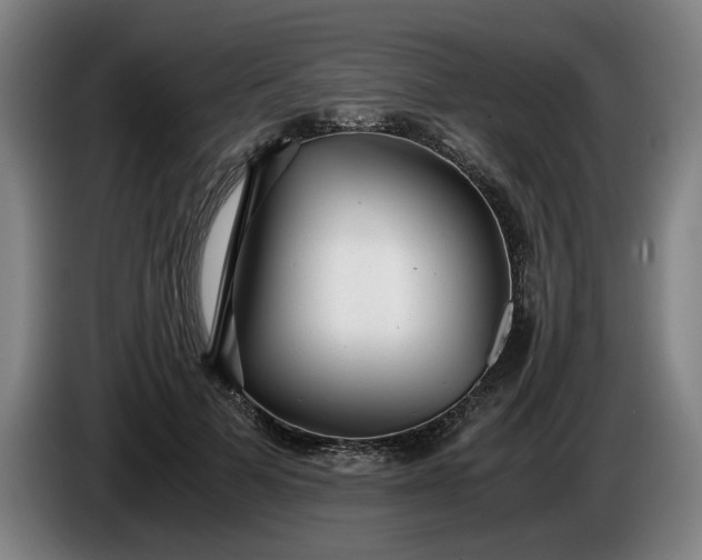 X0000085790697200703301452