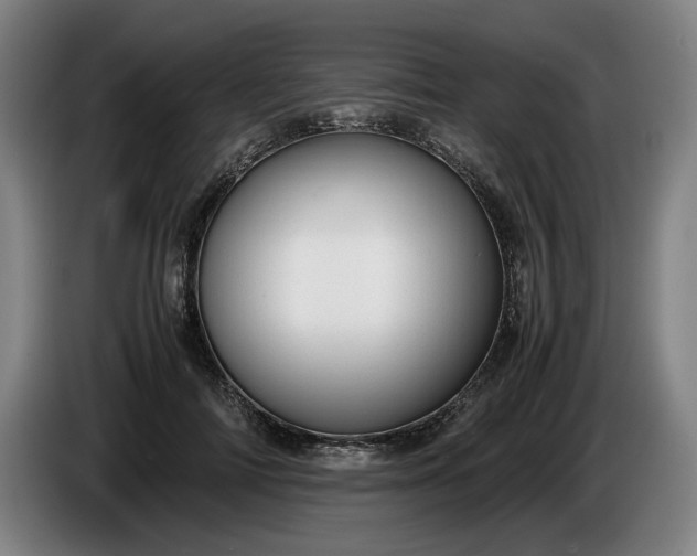 X0000085790698200703301452