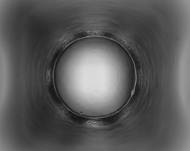 X0000085790699200703301452