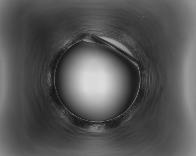 X0000085790700200703301452