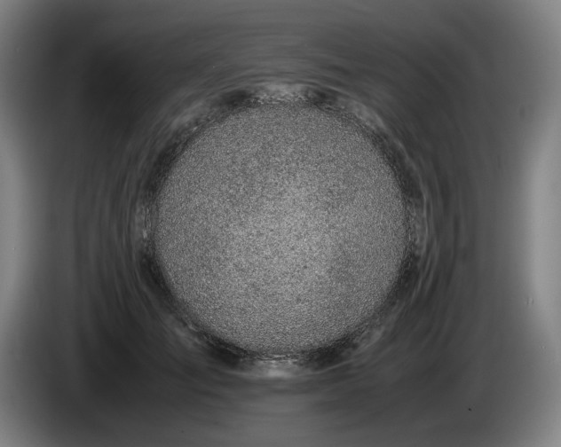 X0000085790701200703301451