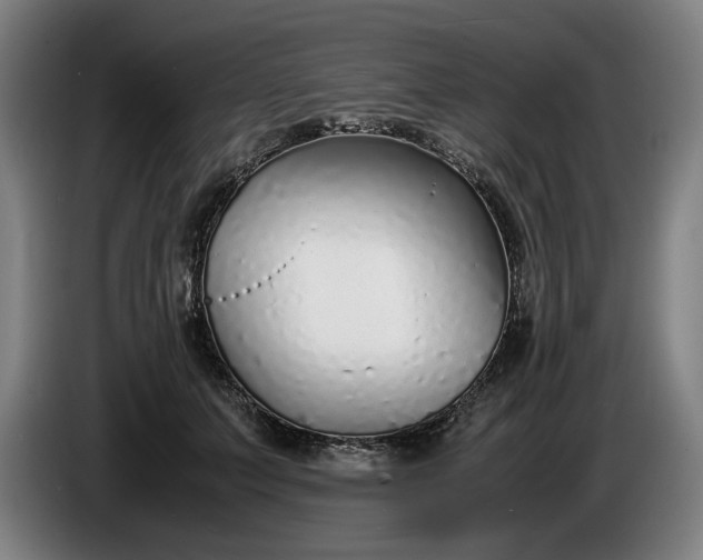 X0000085790703200703301451