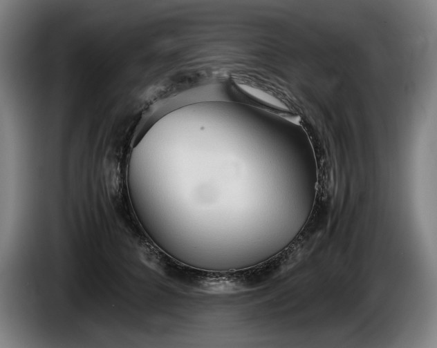 X0000085790704200703301451