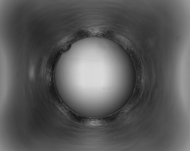 X0000085790710200703301451