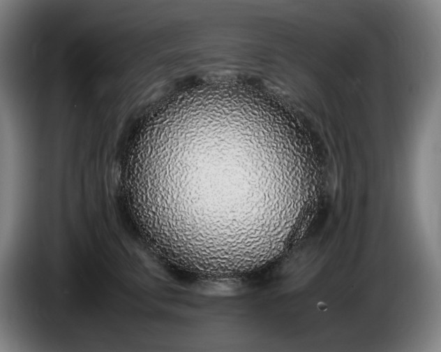 X0000085790711200703301451
