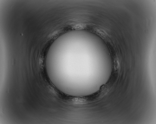 X0000085790714200703301451