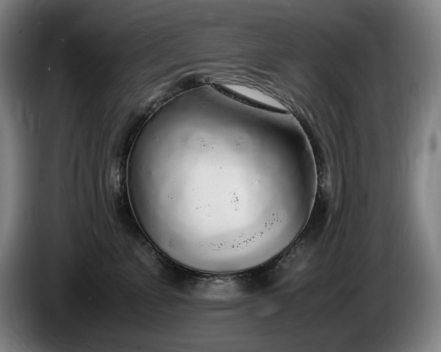 X0000085790715200703301451