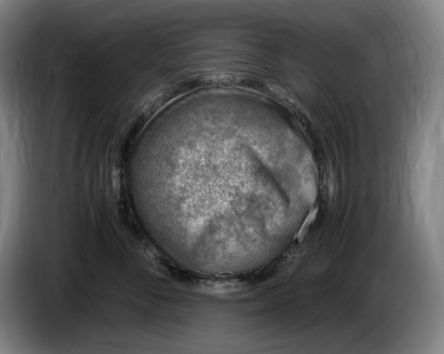 X0000085790716200703301451