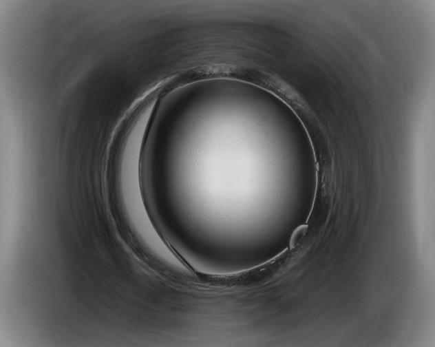 X0000085790722200703301450