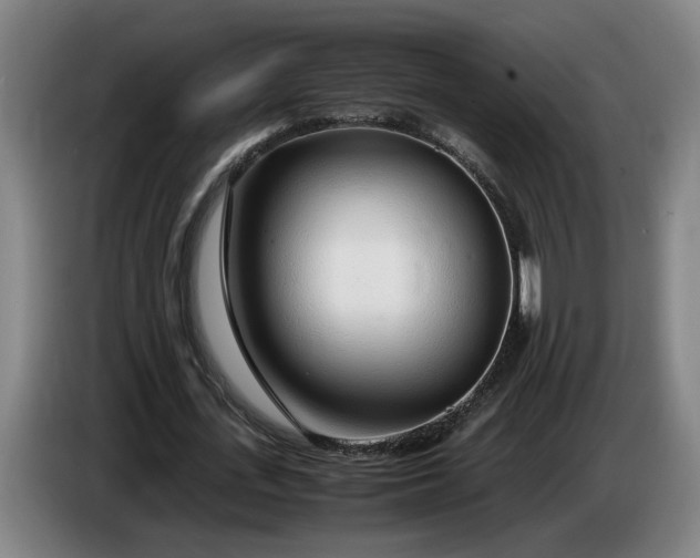 X0000085790723200703301450
