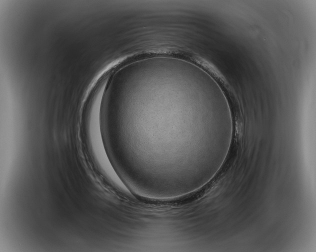 X0000085790724200703301450