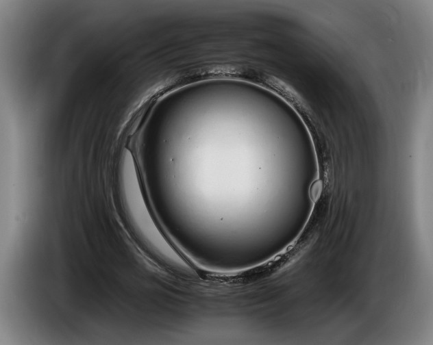 X0000085790725200703301450