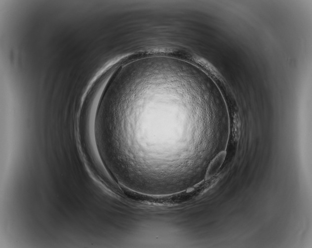 X0000085790726200703301450