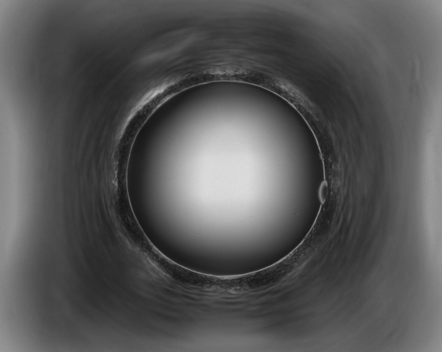 X0000085790727200703301450