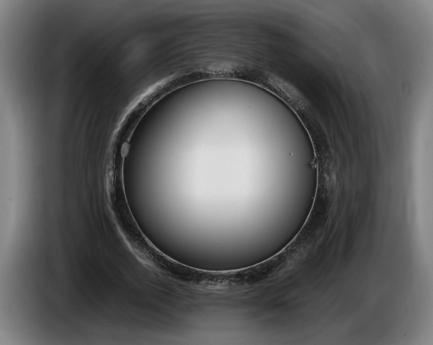 X0000085790728200703301450