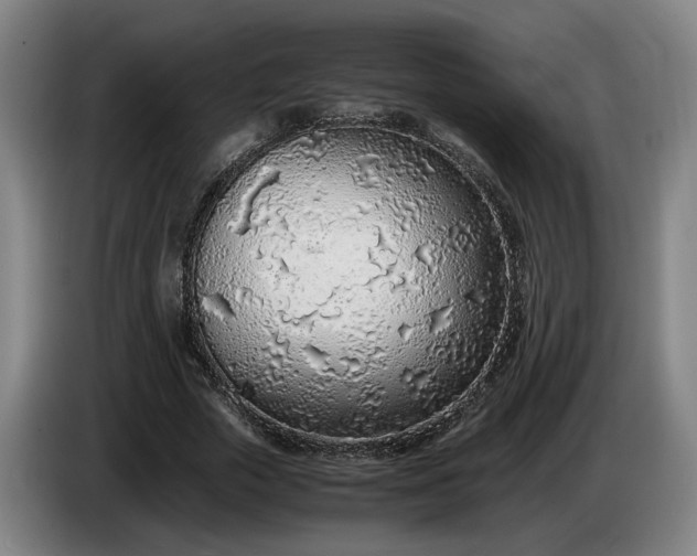 X0000085790729200703301450