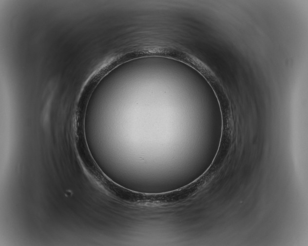 X0000085790730200703301450